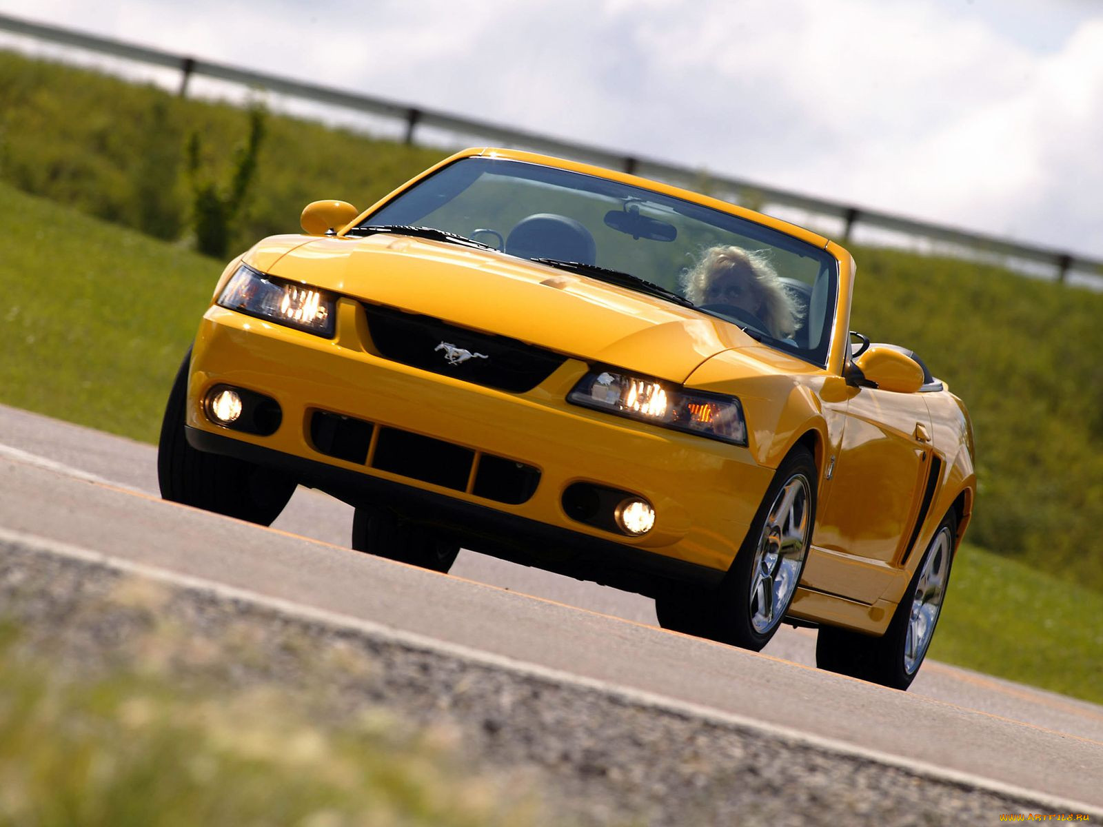 , mustang